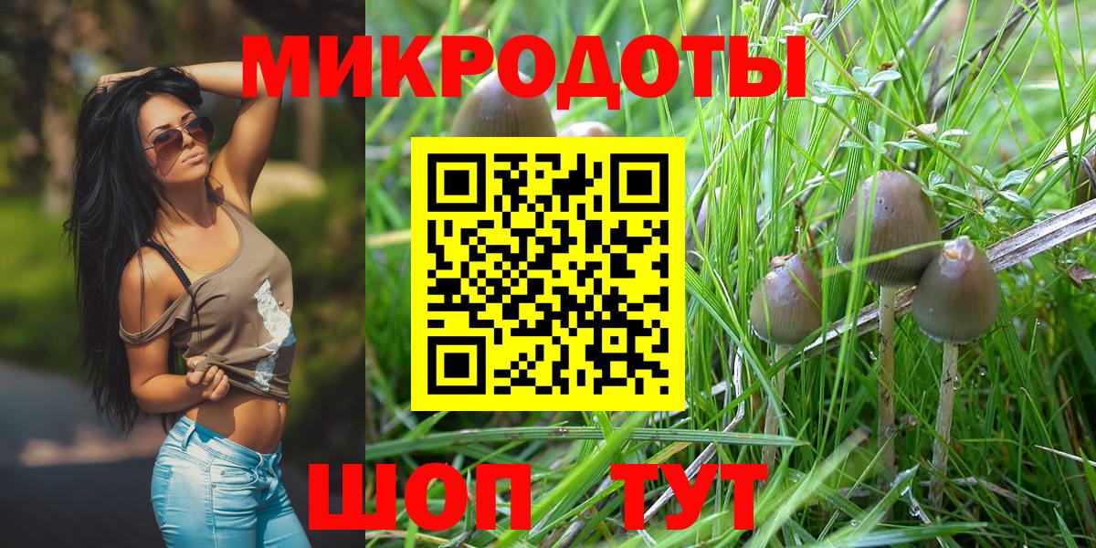 Псилоцибиновые грибы прущие грибы Великий Устюг