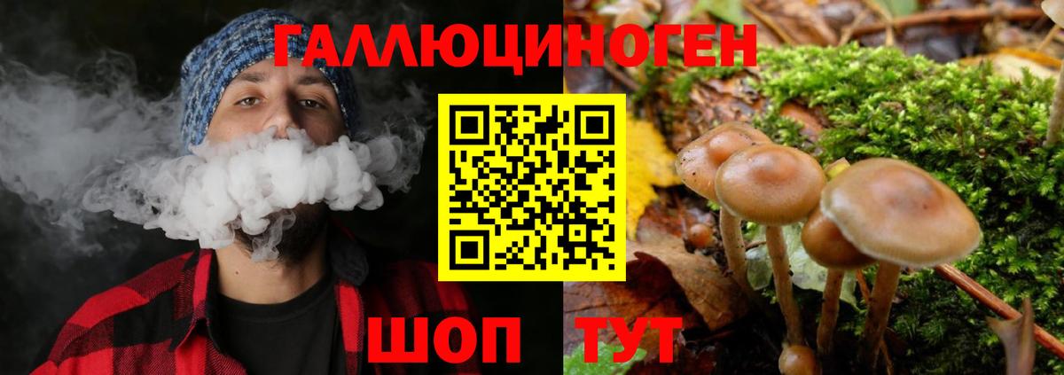 Галлюциногенные грибы MAGIC MUSHROOMS  Вход с VPN  Галлюциногенные грибы прущие грибы  Великий Устюг 